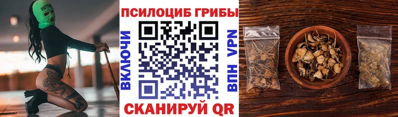 Купить закладки  Волчанск  Псилоцибиновые грибы GOLDEN TEACHER 