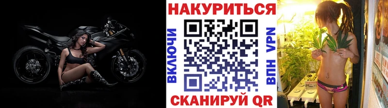 Купить где Волчанск Конопля White Widow
